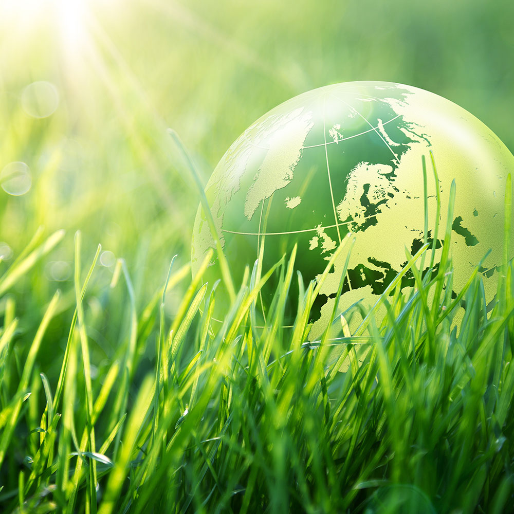 LabTech cares about the envirnment